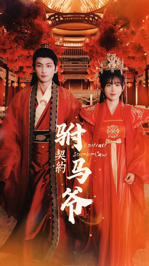 契约驸马爷（74集）短剧分享剧集