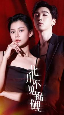 北川不见锦鲤（72集）免费短剧完整版