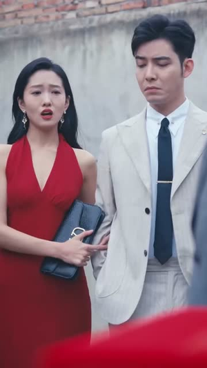 他的荣耀（合集）排行榜前十短剧