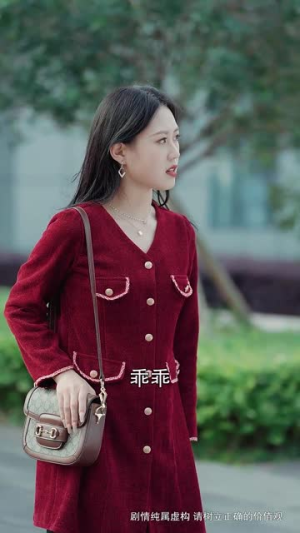 众里寻她千百度(78集) 众里寻她千百度(78集)每日短剧追不停