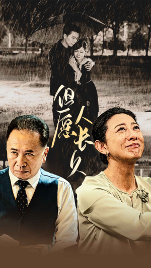 但愿人长久（80集）好看短剧又来了