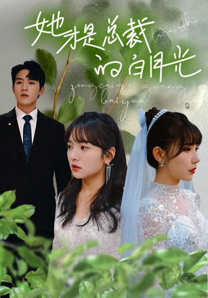 她才是总裁的白月光（90集）好看短剧看不停