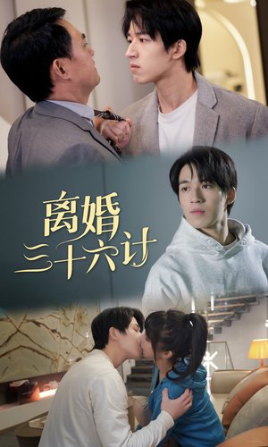 离婚三十六计（96集）短剧爆款推荐