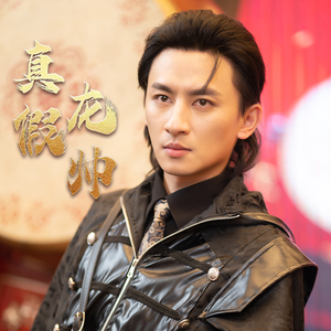 真假龙帅（81集）超好看的短剧