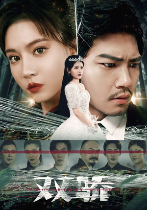 双骄（66集）演员表