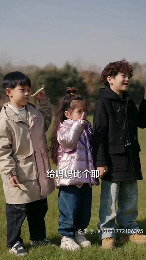 3.风起时见你（93集）番茄免费短剧