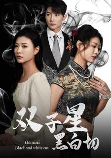 双子星黑白切（82集）短剧推荐上热门