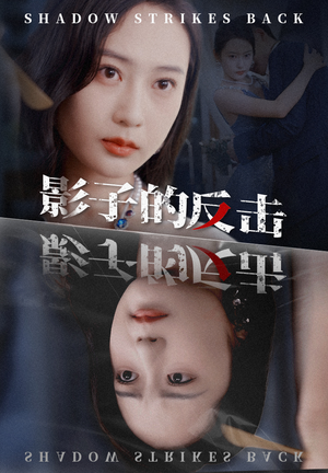 影子的反击（31集）免费看全集