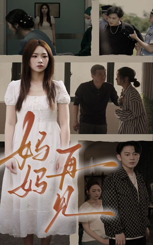 妈妈，再见（28集）超级好看的短剧