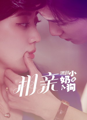 相亲遇到小奶狗（80集）好短剧分享