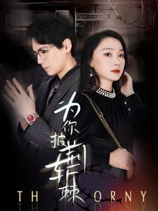 为你披荆斩棘（90集）一起追短剧吧