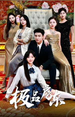 极品房东（36集）好看的短剧