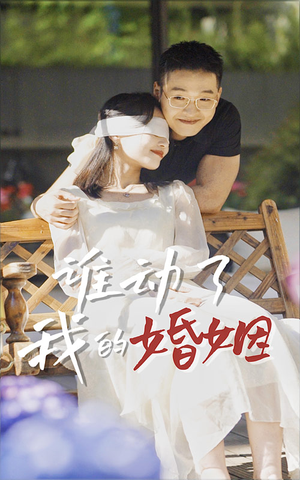 谁动了我的婚姻(24集) 谁动了我的婚姻(24集)全网独播免费看