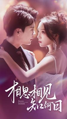 相思相见知何日（81集）短剧在线观看