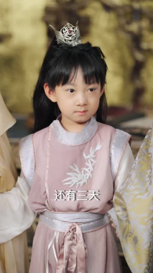 皇子寻亲记(66集) 皇子寻亲记(66集)免费观看完整版