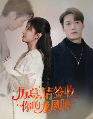 历总，请签收你的龙凤胎（69集）全集