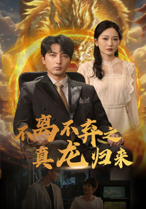 不离不弃之真龙归来（73集）热播短剧全集看