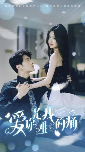 爱你是我难言的痛（77集）观看软件