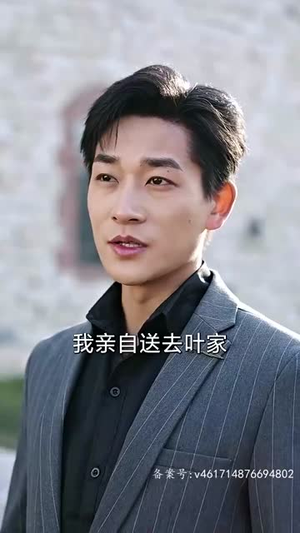 我为殿主，天下无魔（80集）怎么看全集