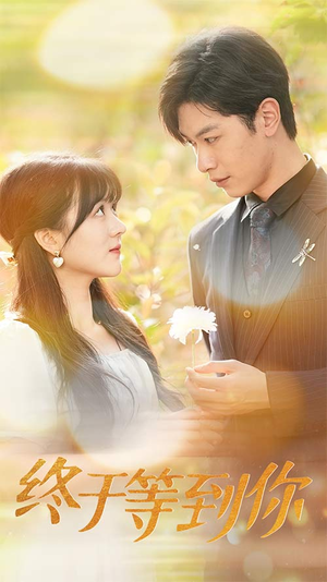 你是我的木槿年华（80集）好看的短剧来了