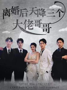 离婚后天降三个大佬哥哥（83集）短剧推荐来了