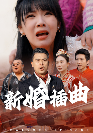 31.新婚插曲（29集）每日短剧推荐