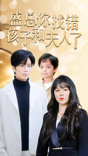盛总你找错孩子和夫人了（82集）全集完整版