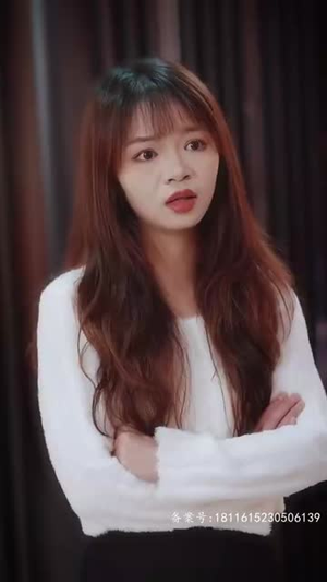 他的金丝雀（80集）在线看免费版