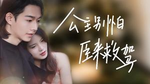 公主别怕，臣来救驾（90集）免费看