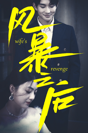 风暴之后（80集）最火短剧热播中