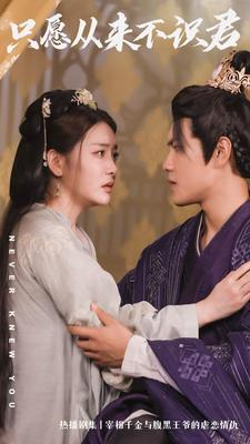 只愿从来不识君（80集）精彩短剧推荐