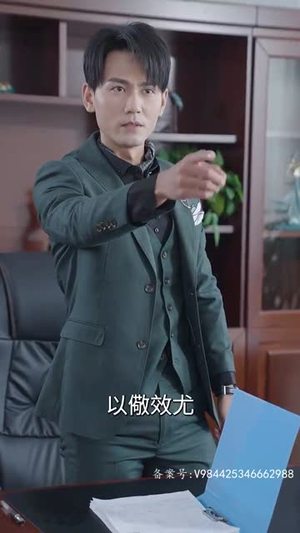 赘婿天子（91集）在线免费观影