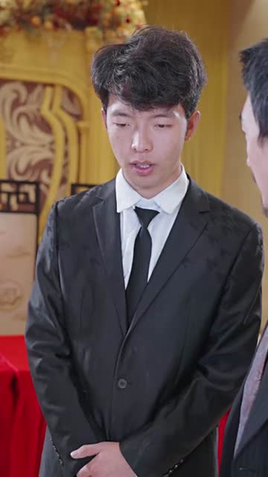 我的巅峰人生（97集）在线看到大结局