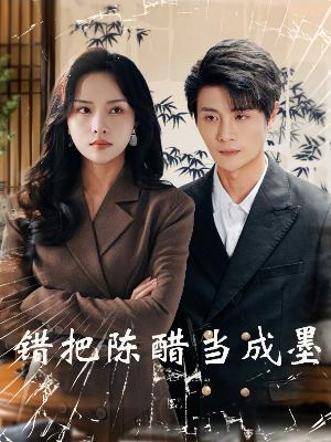 错把陈醋当成墨（29集）深深爱上这部剧