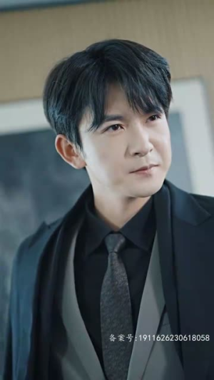 巅峰神婿（100集）看到了大结局