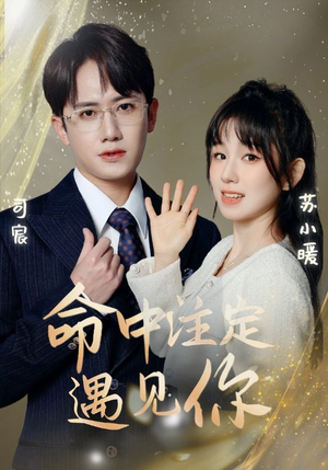 命中注定遇见你（96集）番茄短剧免费看
