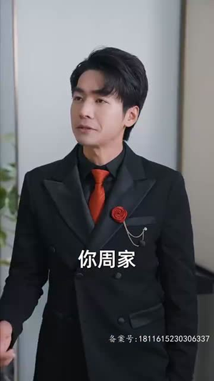 锦龙（82集）短剧热门分享