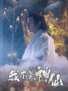 我不是神仙（81集）短剧小说在线看