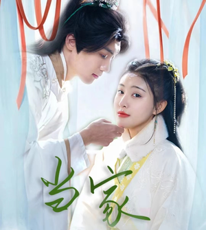 傻子王爷娇宠妃&当家（50集）男主角是谁