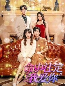 命中注定我爱你（99集）一个短剧看全集