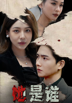 她是谁(79集) 她是谁(79集)精彩短剧上线