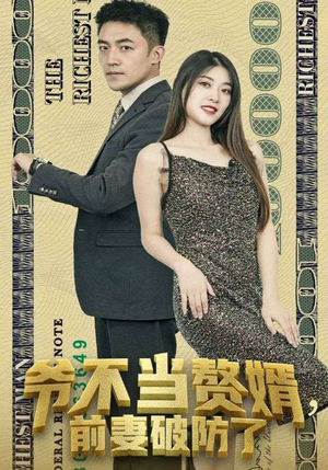 爷不当赘婿，前妻破防了（80集）短剧解说热门