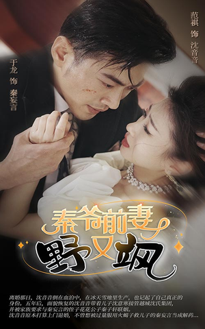 秦爷前妻野又飒（100集）全集完整版