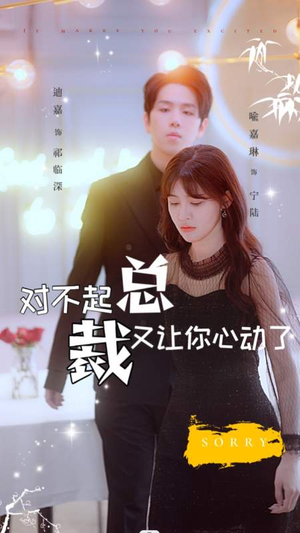 对不起总裁又让你心动了（98集）解说文案