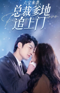 六宝来袭总裁爹地追上门（79集）1-102集