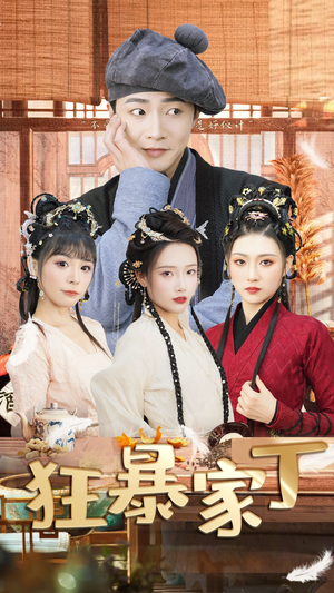 狂暴家丁$飞驰人生之超品家丁（90集）在线观看全集