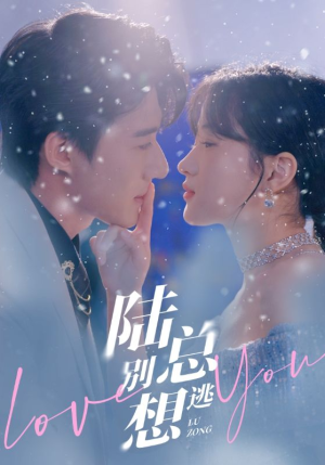 陆总别想逃（80集）古装热门短剧