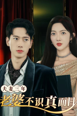 夫妻三年老婆不识真面目（83集）解说
