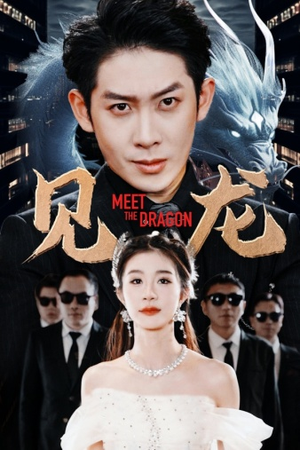 见龙（78集）火爆短剧热播中