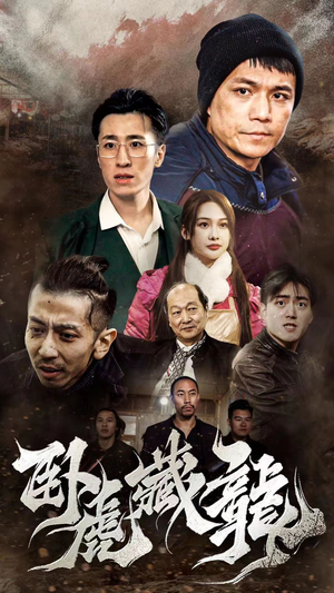 卧虎藏龙（92集）观看软件